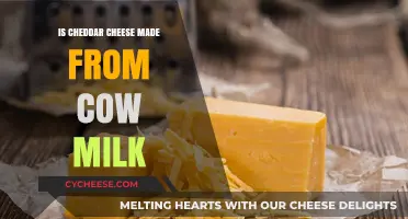 Cheddar's Cowly Origin: Unveiling the Milk Mystery