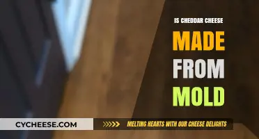 Unveiling the Moldy Mystery: Cheddar's Cheesy Secret