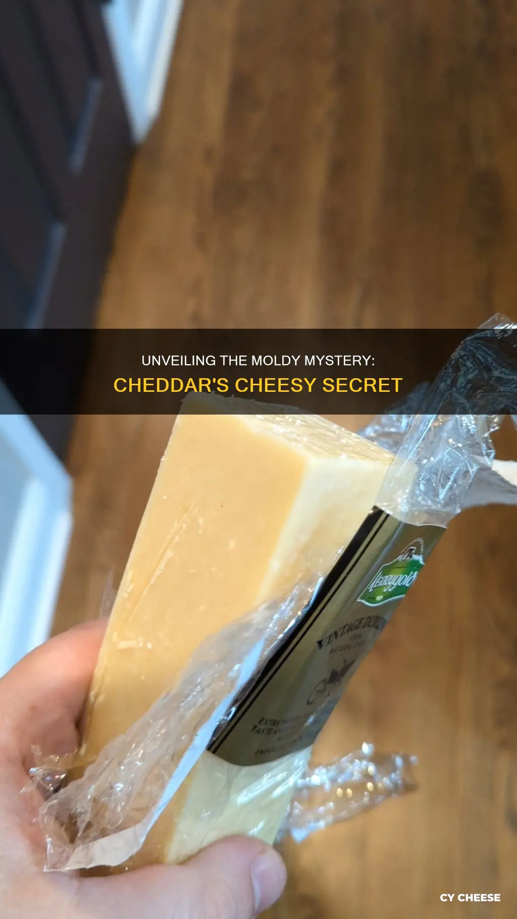 is cheddar cheese made from mold