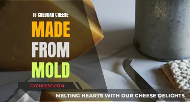 Cheddar Cheese and Mold: What's the Connection?