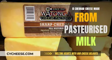 Cheddar Cheese: Pasteurized Milk's Transformation