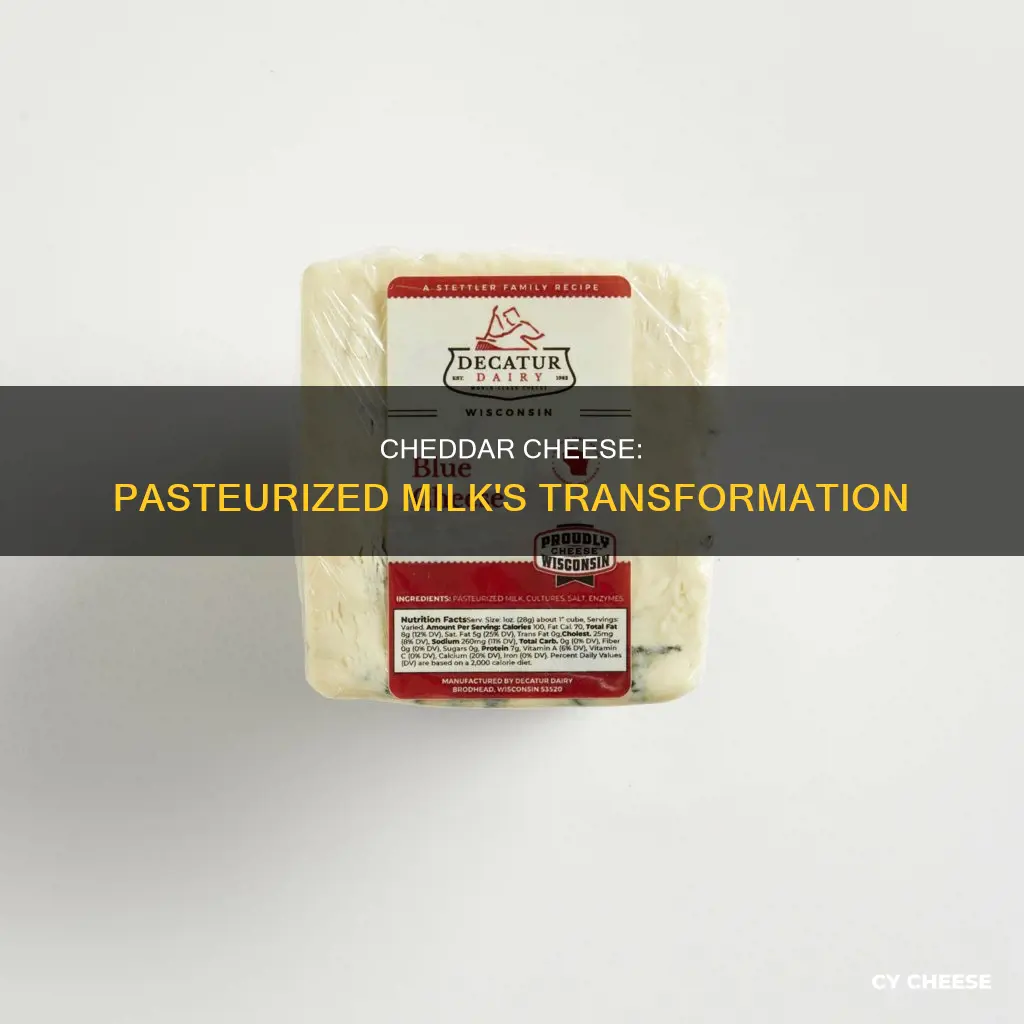 is cheddar cheese made from pasteurised milk