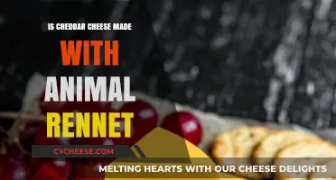 Is Cheddar Cheese Made with Animal Rennet? Unveiling the Truth