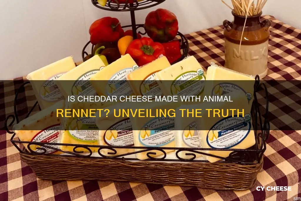 is cheddar cheese made with animal rennet