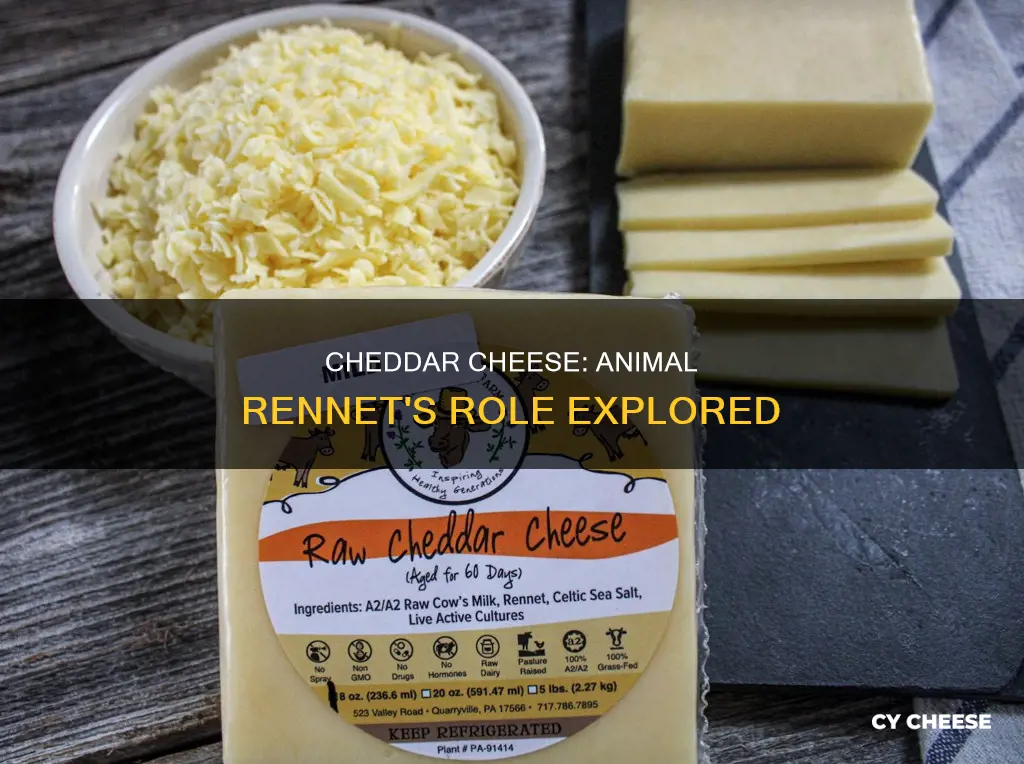 is cheddar cheese made with animal rennet