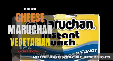 Is Cheddar Cheese Maruchan Vegan? Unraveling the Vegetarian Mystery