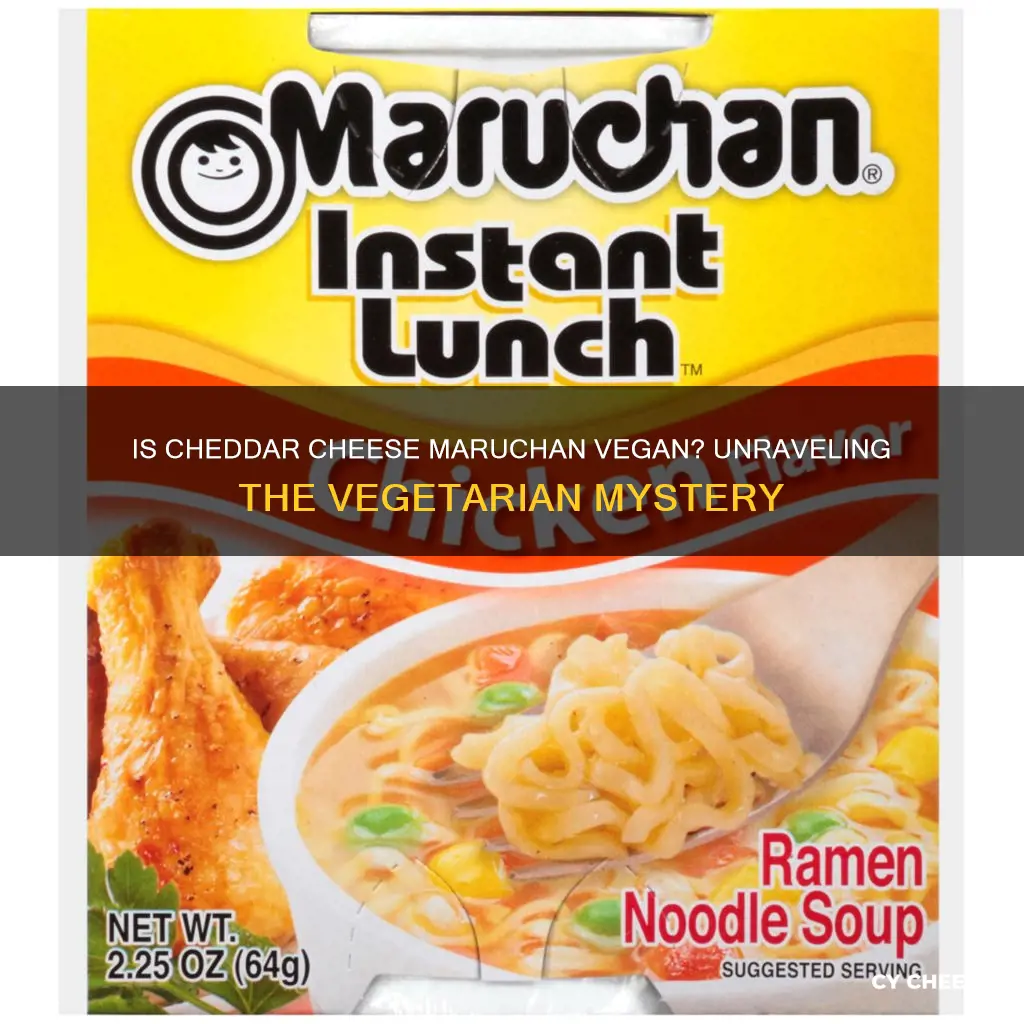 is cheddar cheese maruchan vegetarian