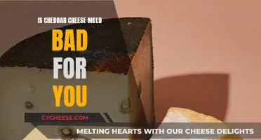 Is Cheddar Cheese Moldy? Uncovering the Health Risks