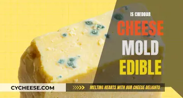 Can You Eat Cheddar Cheese After It's Molded?