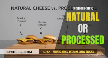 Unraveling the Mystery: Cheddar's Natural or Processed Origin