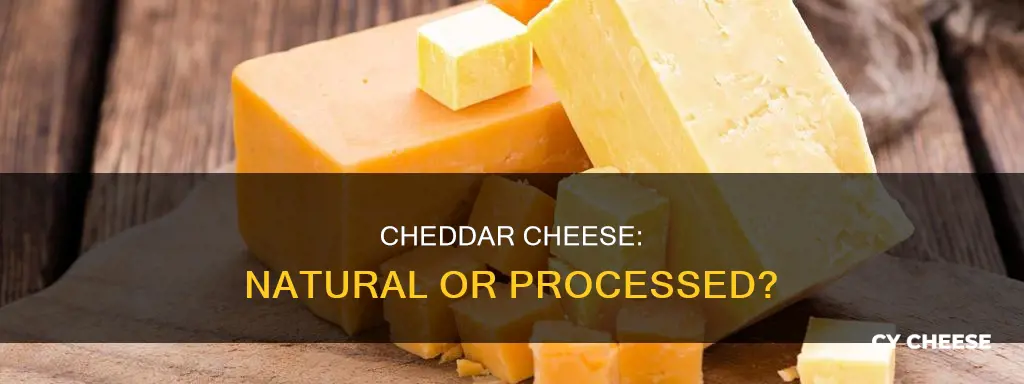 is cheddar cheese natural or processed