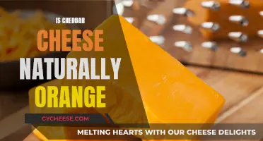 The Color of Cheddar: Unveiling the Orange Mystery