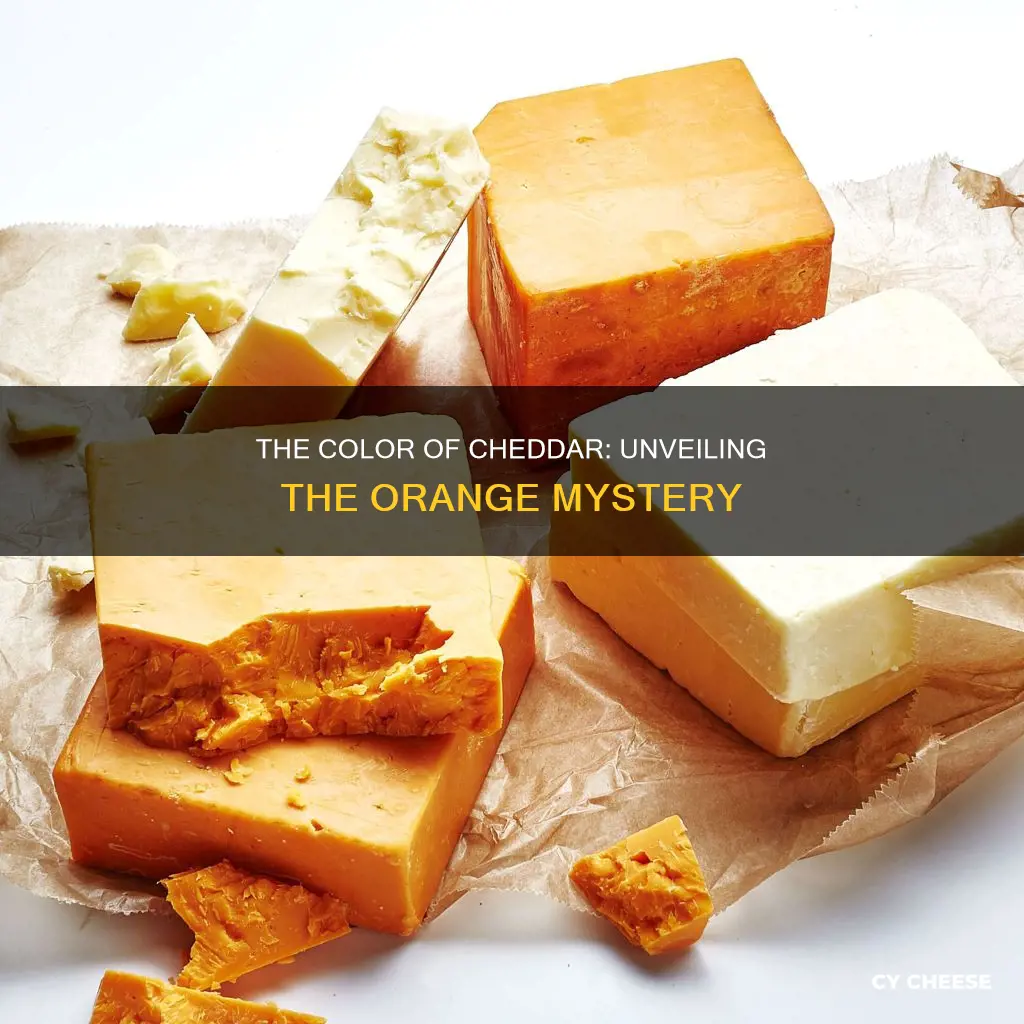 is cheddar cheese naturally orange