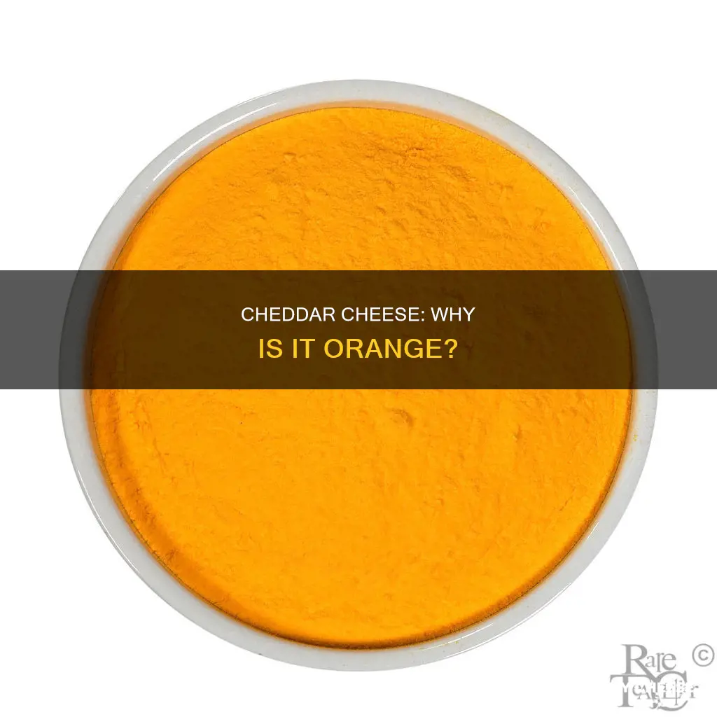 is cheddar cheese naturally orange