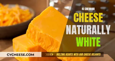 The Color of Cheddar: Unveiling the White Mystery