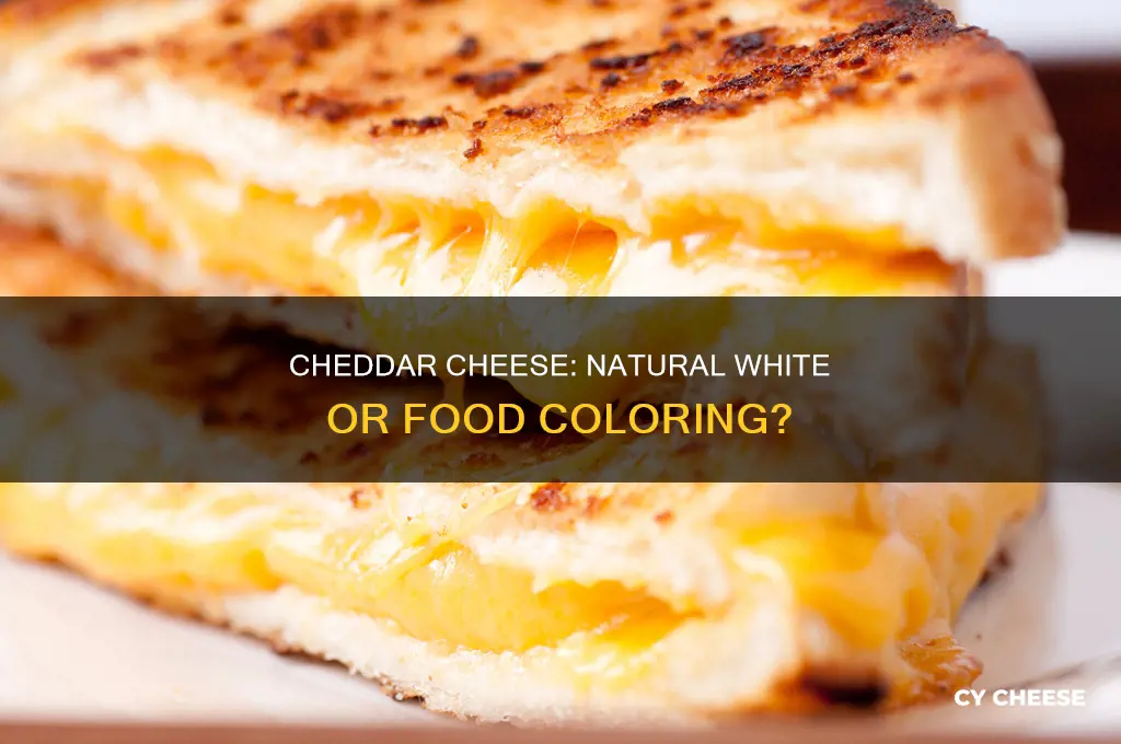 is cheddar cheese naturally white