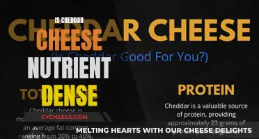 Unraveling Cheddar's Nutritional Secrets: Is It a Dense Delight?