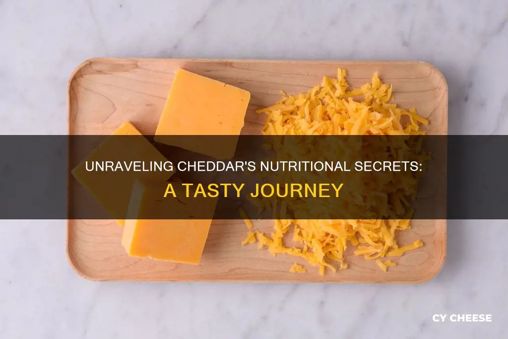 is cheddar cheese nutrition