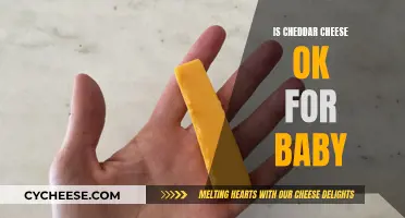 Is Cheddar Safe for Baby's First Cheeseburger?