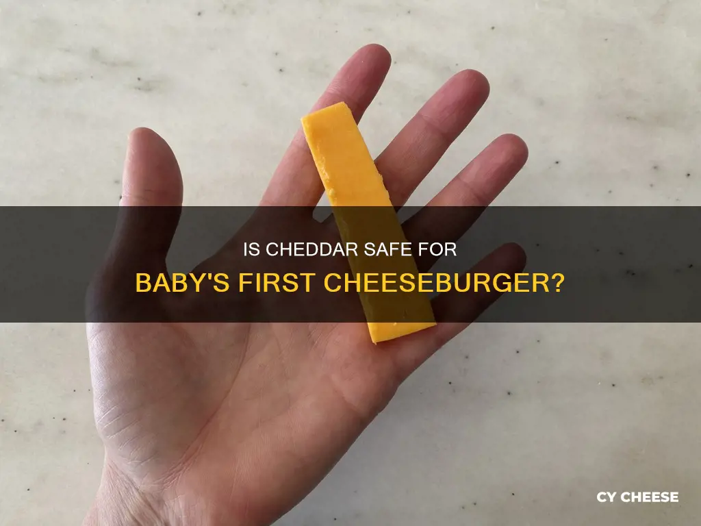 is cheddar cheese ok for baby