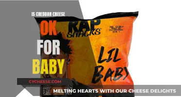 Cheddar Cheese and Babies: What You Need to Know
