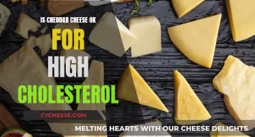 Cheddar Cheese and Cholesterol: A Tasty Dilemma