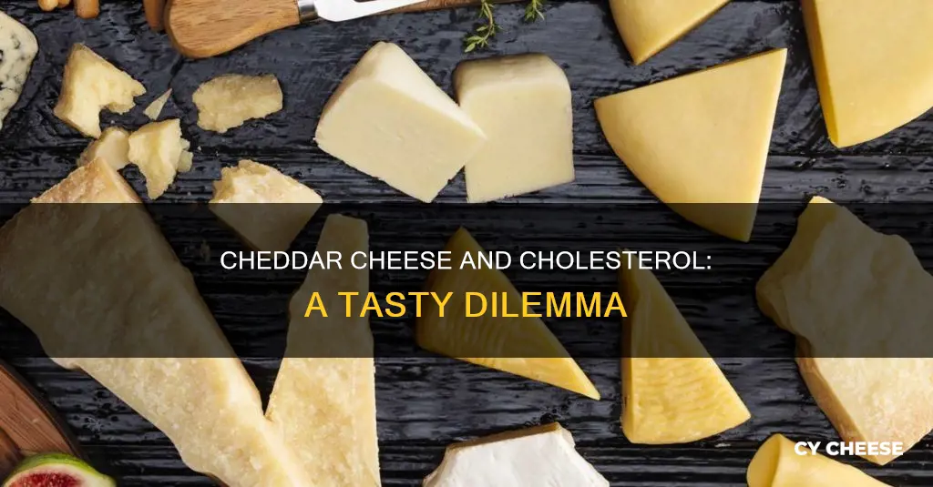 is cheddar cheese ok for high cholesterol