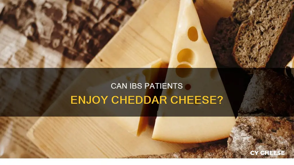 is cheddar cheese ok for ibs