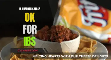 Cheddar Cheese and IBS: What You Need to Know