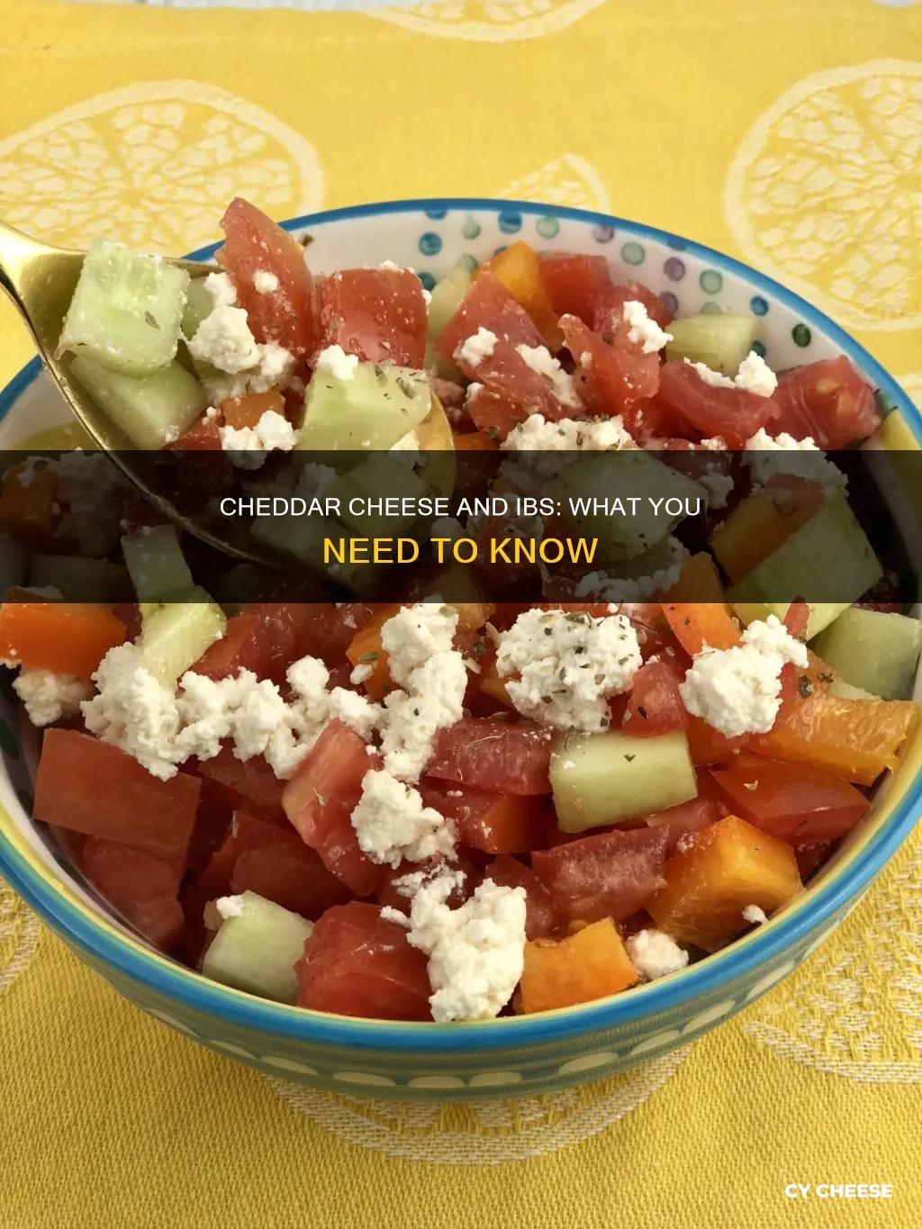 is cheddar cheese ok for ibs