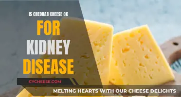 Cheese and Kidney Health: Cheddar's Role Revealed