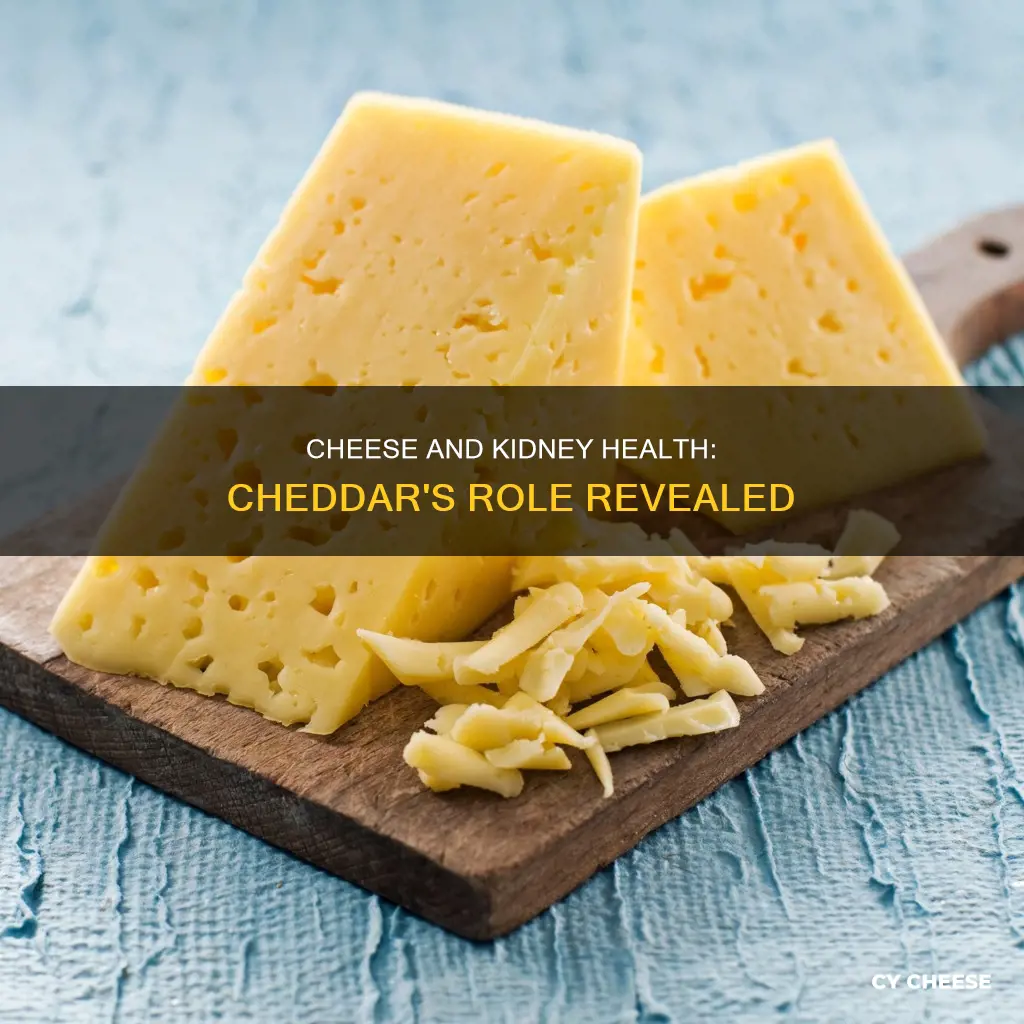 is cheddar cheese ok for kidney disease