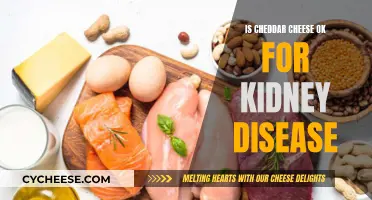 Cheddar Cheese and Kidney Disease: What's the Verdict?