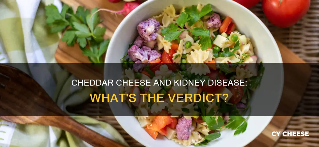 is cheddar cheese ok for kidney disease