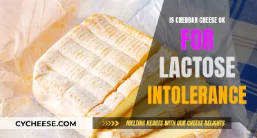 Can Lactose Intolerant People Enjoy Cheddar Cheese?