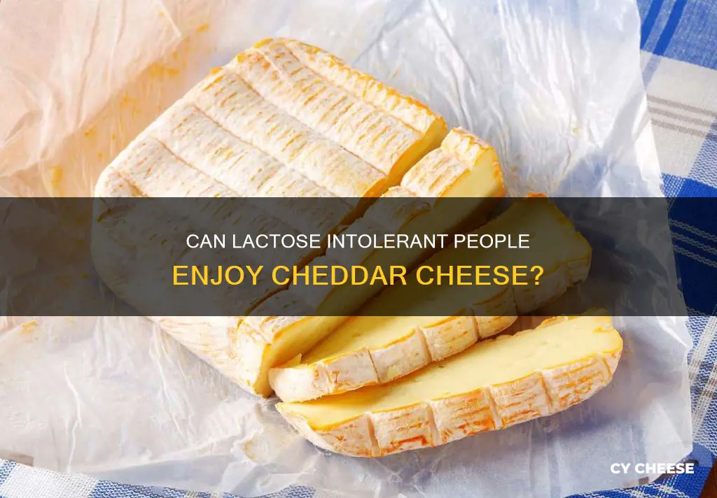 is cheddar cheese ok for lactose intolerance