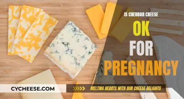 Is Cheddar Safe During Pregnancy? Unraveling the Cheese Conundrum