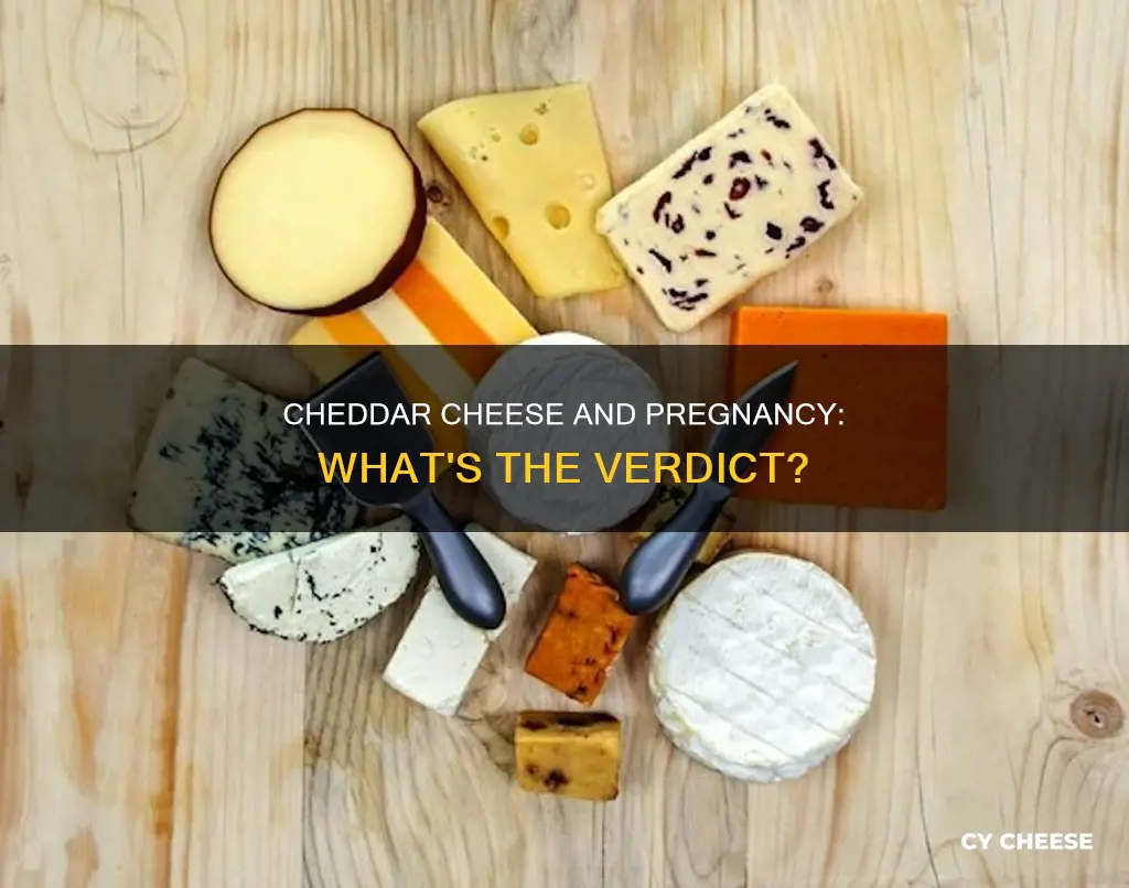 is cheddar cheese ok for pregnancy