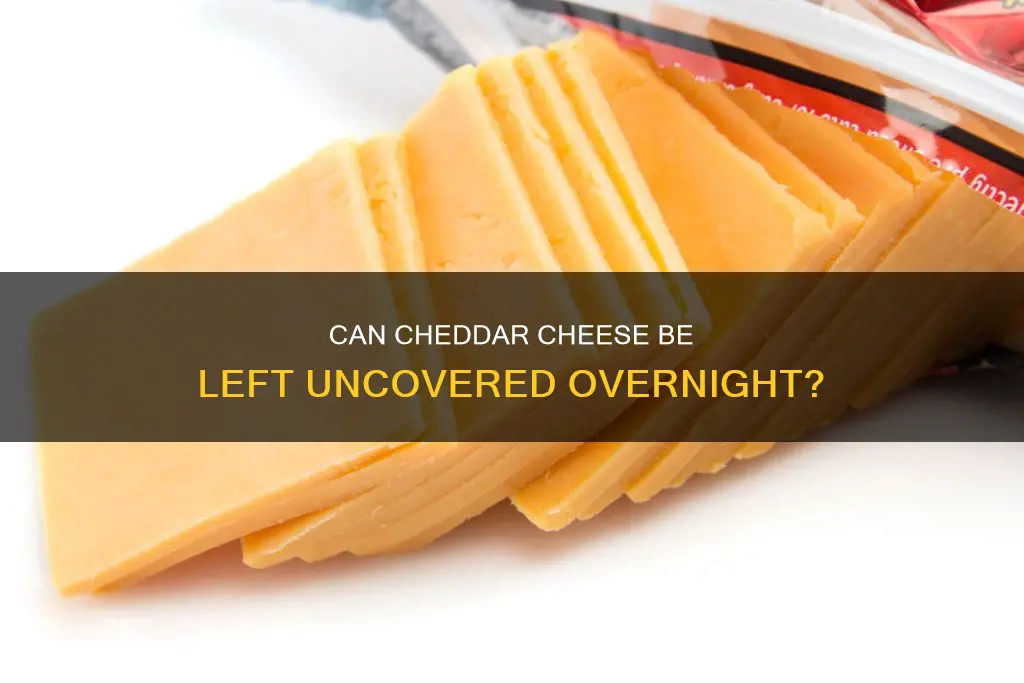 is cheddar cheese ok if left out overnight