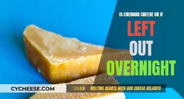 Cheddar Cheese: Overnight Danger or Deliciousness?