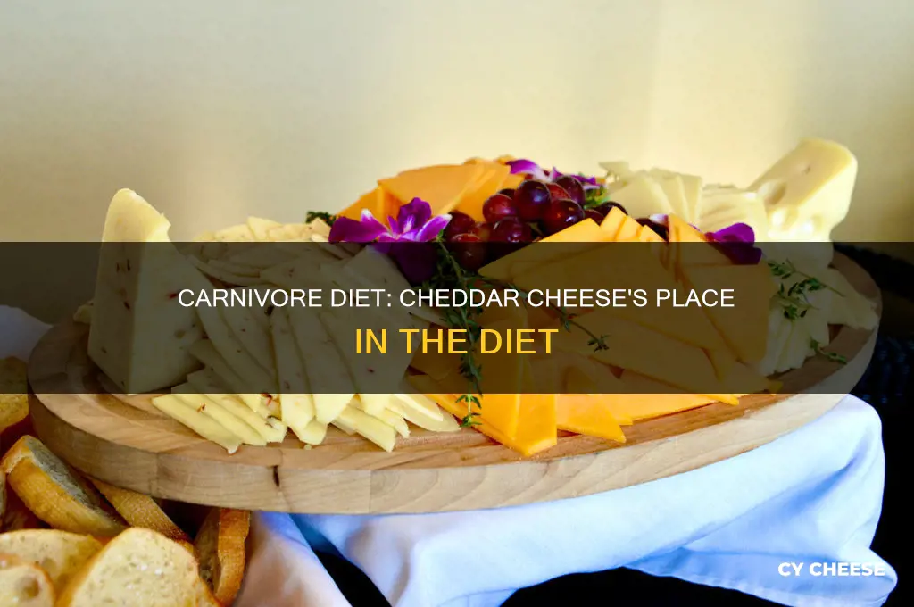 is cheddar cheese ok on carnivore diet