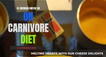 Cheddar Cheese and the Carnivore Diet: What's the Verdict?