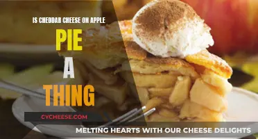 Cheddar Cheese on Apple Pie: Delicious or Disgusting?