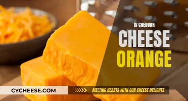 The Color of Cheddar: Unveiling the Orange Enigma