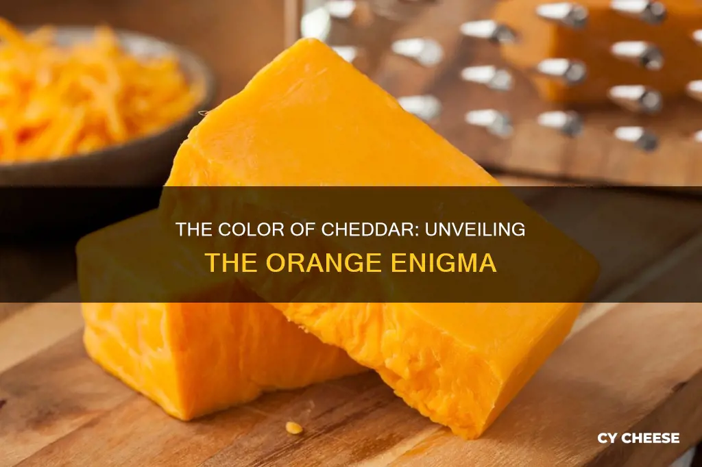 is cheddar cheese orange