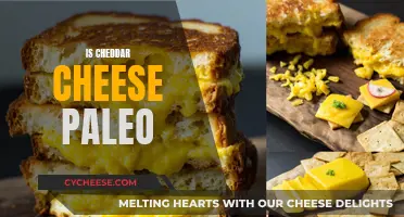 Is Cheddar Cheese Paleo? Unraveling the Cheese Conundrum