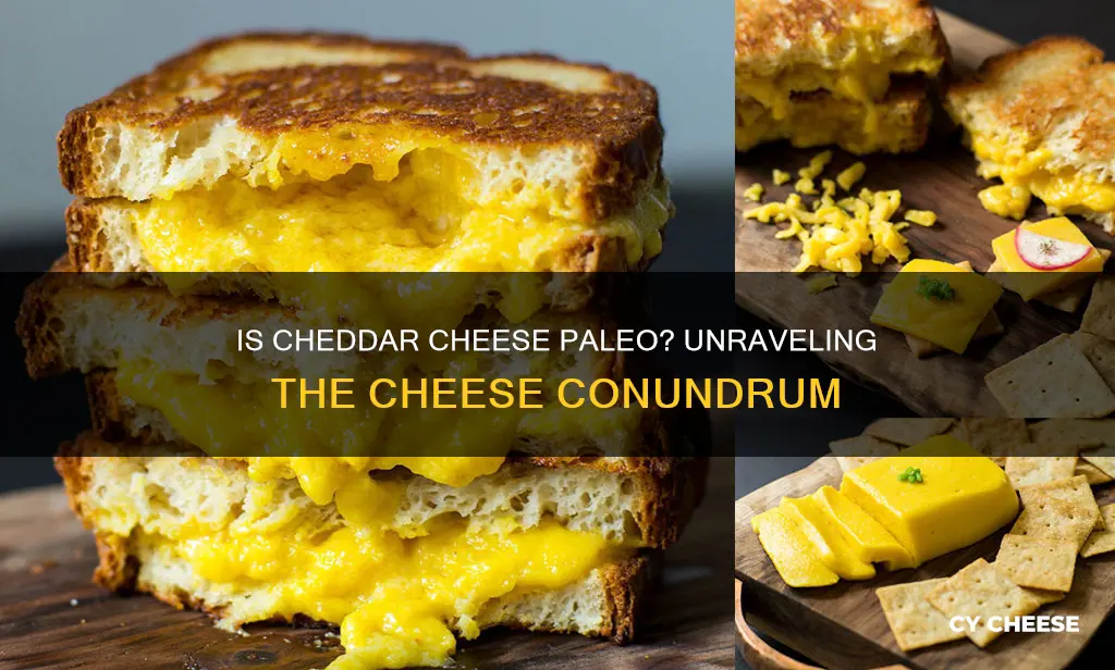 is cheddar cheese paleo