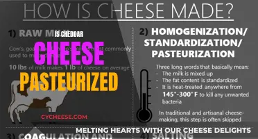 Unraveling the Cheddar Mystery: Pasteurized or Not?