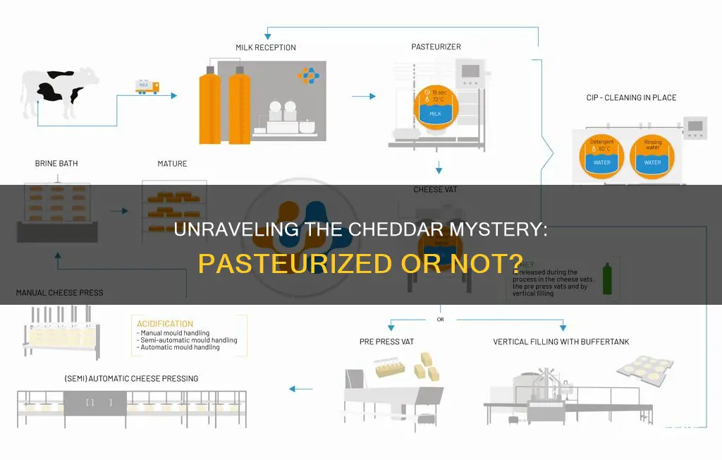 is cheddar cheese pasteurized