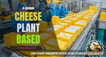 Is Cheddar Cheese Vegan? Unraveling the Dairy Dilemma